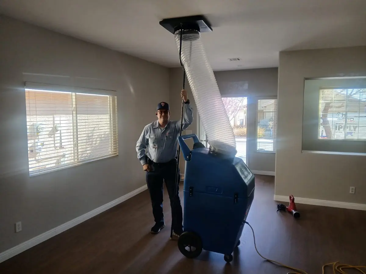 Professional Dryer Vent Cleaning work inside a Alamo home